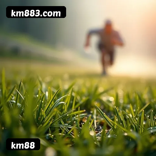 km88 APP mobile iOS Android - 187 mil downloads São Paulo Rio BH